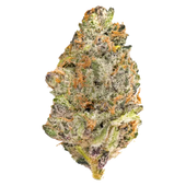 Irie Platinum Series: El Chivo (OGKB x Blueberry Headband x Grape Gas)