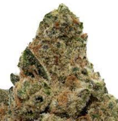 Crooked Dory MINT SMASH Sativa Flower - 3.5 g