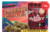 Ringo's Gift Type 2 Cultivar