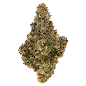 Amani Craft Cannabis (Rockstar)