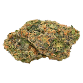 Permanent Marker (Biscotti S1x Sherb BX x Jealousy) Permanent Marker (Biscotti S1x Sherb BX x Jealousy)