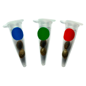 Crashed Out Cookies Multipack (fem Seeds)