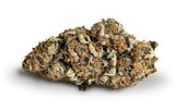 DAN'S BALANCE CALI-O 3.5 g