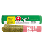 Fully Charged Strawberry Watermelon OG CBG Infused Pre-Roll