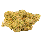 Tropical Gelato Slushie