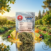 Lucky Stash Sativa 3.5G - Lucky Flower