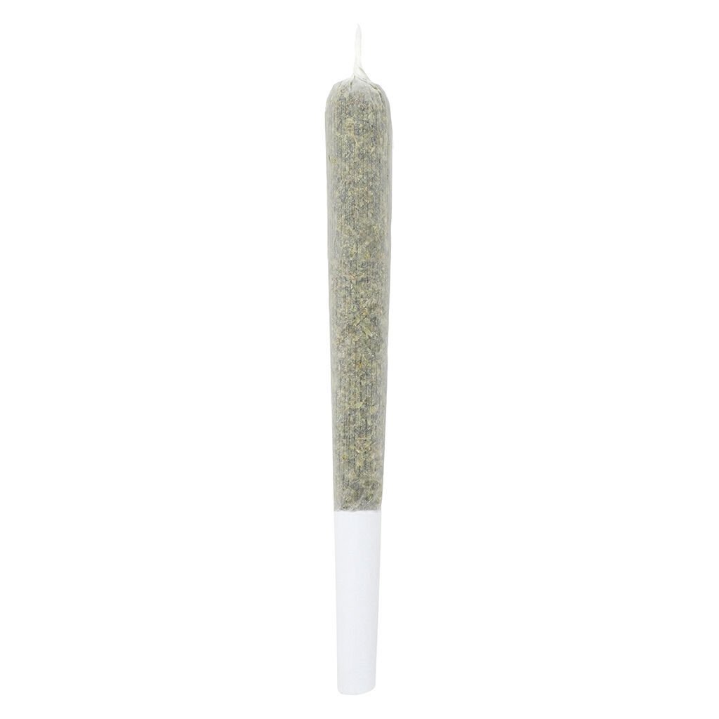 Black Cherry Soda (Black Dahlia x Ace of Spades) | 3x0.5g