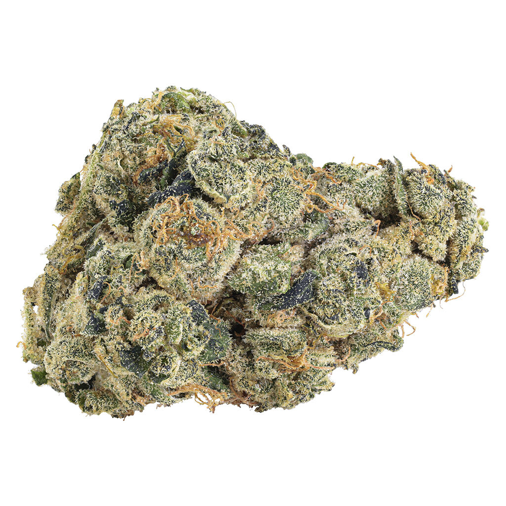 UK Cheddar Cheese (Super Skunk x Platinum GSC)