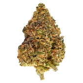 Strawberry Cheezequake