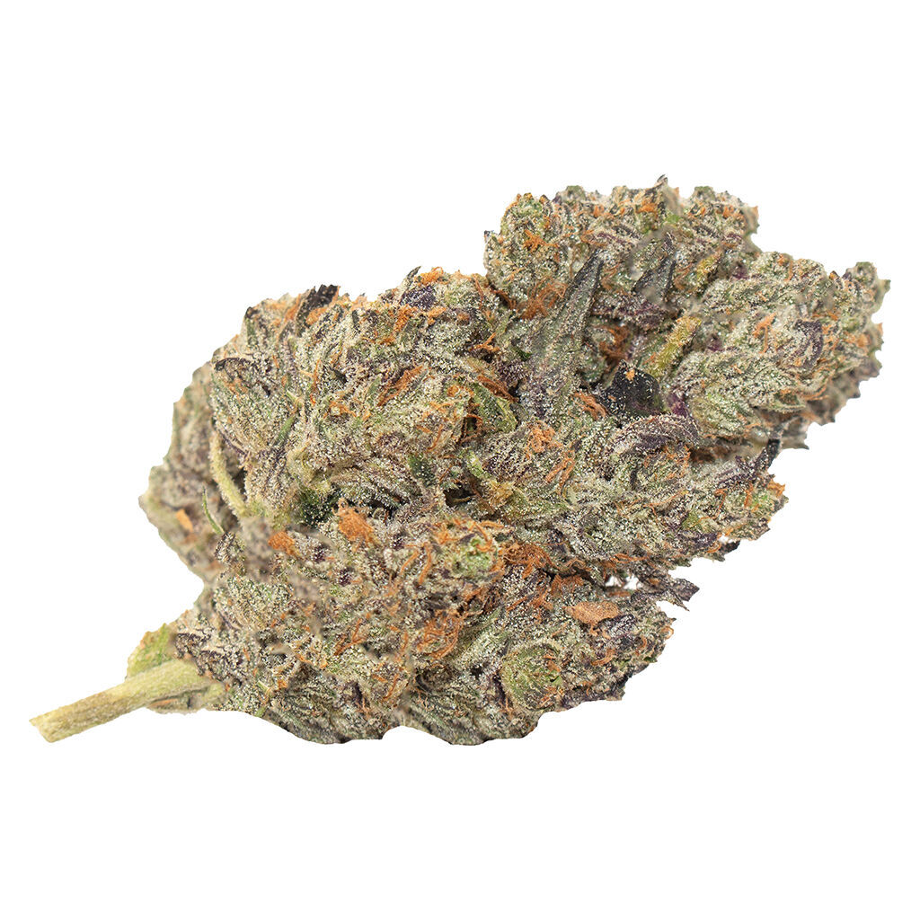 Indica Bag (Banana Puddintain)