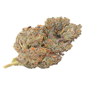 Indica Bag (Banana Puddintain)