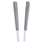 Afternoon Delight Pre-Roll (GMO x Trophy Wife)