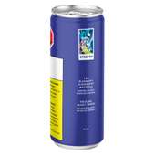 Blueberry & Elderberry Sparkling White Tea