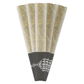 Neon Sunshine Pre-Roll