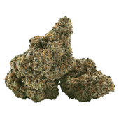 100K (White Truffle x Red Runtz)