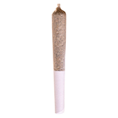 Pink Kush Express Infused Pre-Roll