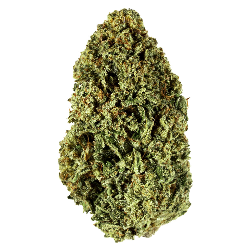 Blueberry (Afghani x Thai)