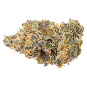 PINEAPPLE FRUZ (Animal Mints x Zkittlez)