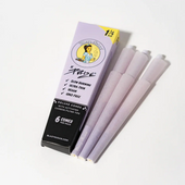 Blazy Susan Purple Cones (6 Pack)