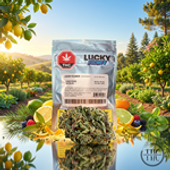 LUCKY STASH SATIVA 5G