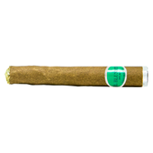 El Bluntito Centrado Pre-Roll El Bluntito Centrado Pre-Roll