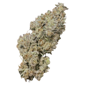 Royal Dive#1: Black Mountain Side