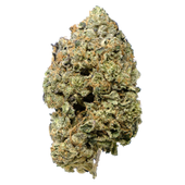 Pink Goo (Granddaddy Purple x Grape Ape x Northern Lights)