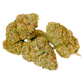 SESH Flower