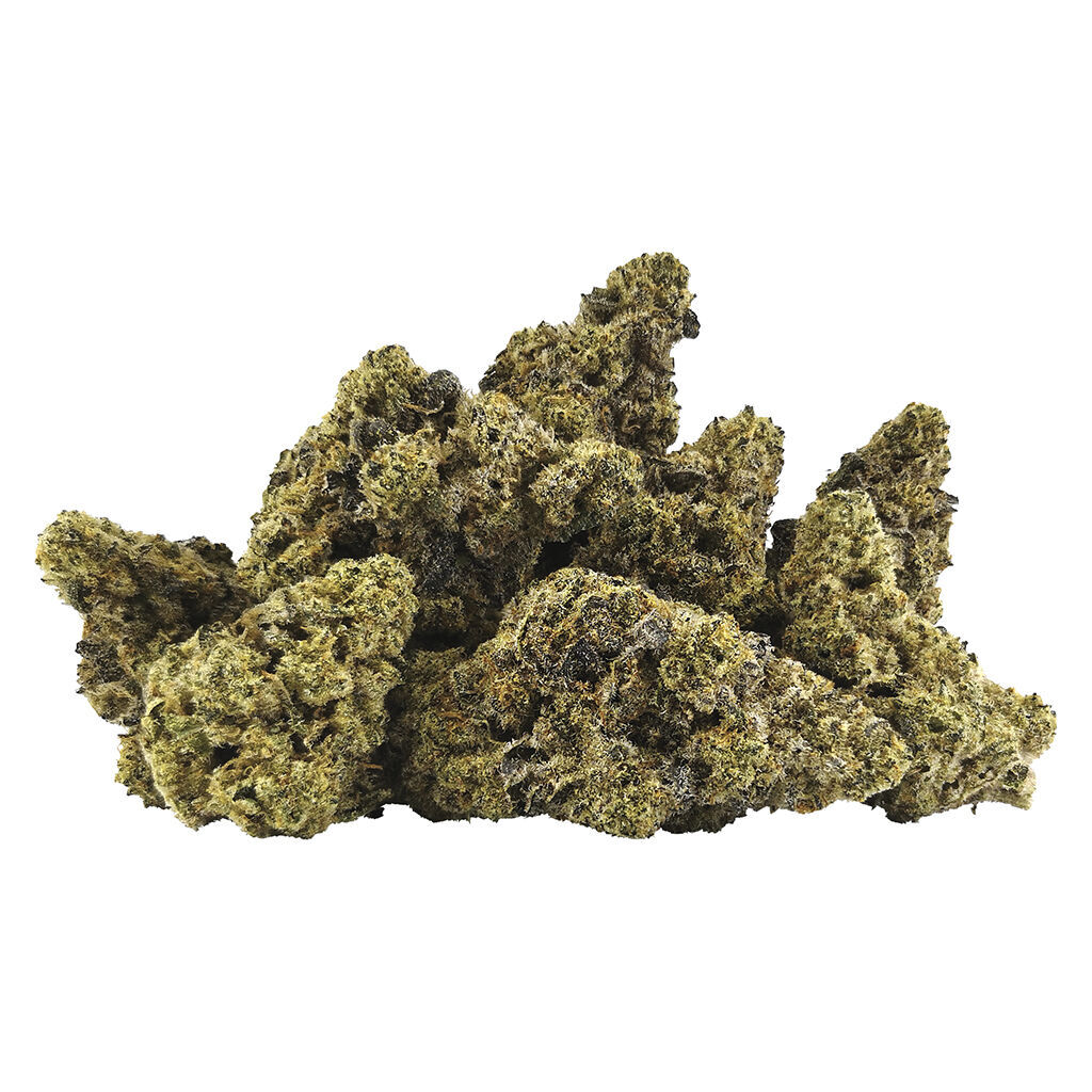 OG1 Kenobi (Skywalker OG x Baby Yoda)