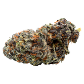 Georgia Pie (Gelatti x Kush Mints) Craft Whole Flower