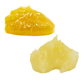 Priest's Punch & Purple Berry Live Resin (2-Pack)