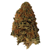Kush Dreams