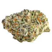 Strawberry Amnesia