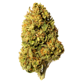 Bleuh Light CBD