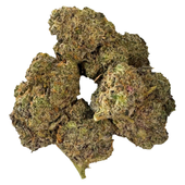 Big Buzz OG | Gary Fisher