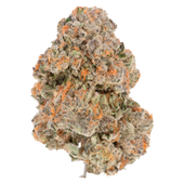 Jungle Fire (Purple Punch x Jungle Cake)