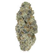 Perma Fried (Hawaiian Rain x Permanent Marker)