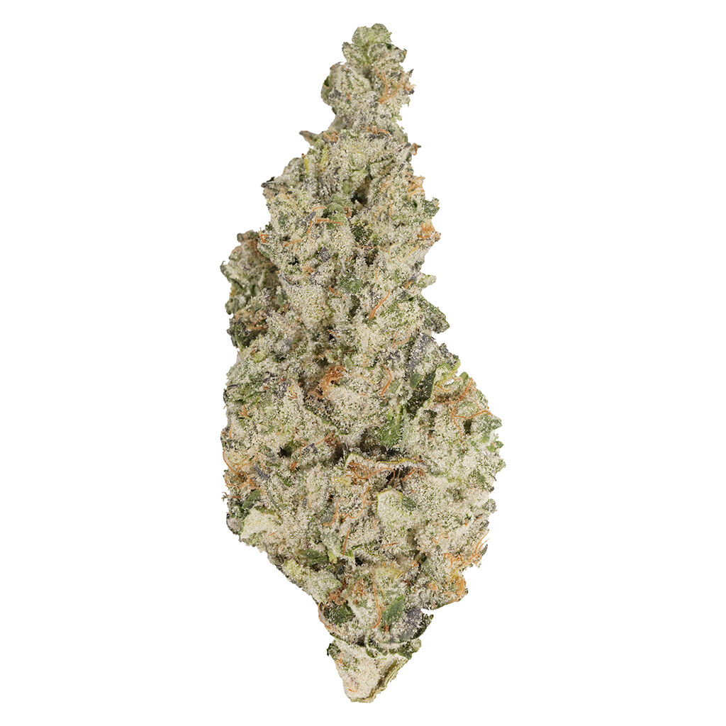 Gaelic Fire (Permanent Marker x Purple OG Kush)