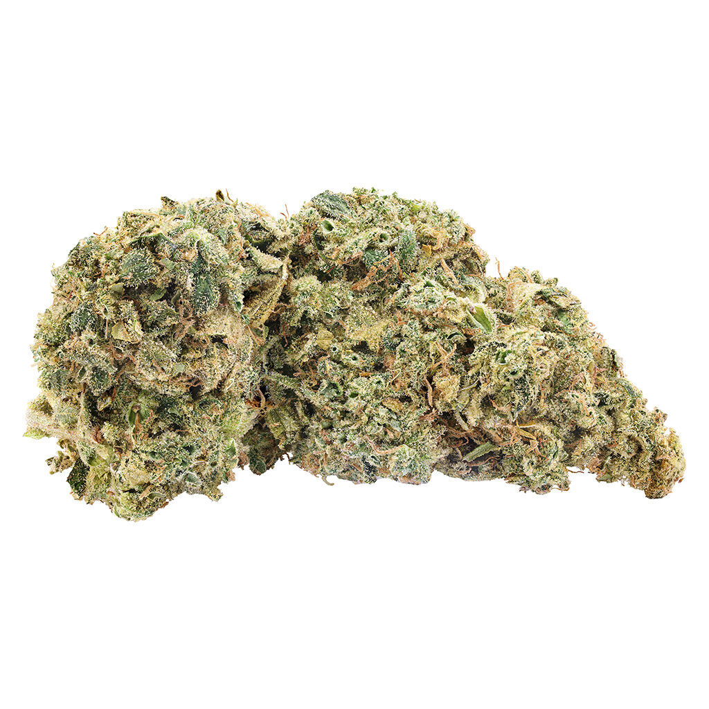 Northern Nights (Fire OG x G13)