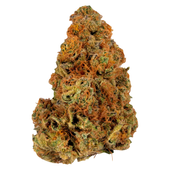 Ripped Indica- Alien Rock Candy