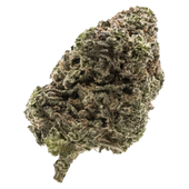 Jungle Fumes Flower