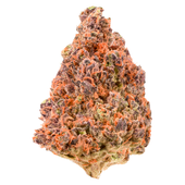 Cherry Blast (Black Cherry Punch x Orange Cookies) Cherry Blast (Black Cherry Punch x Orange Cookies)