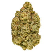 Inzane in the Membrane