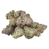 67 Artisan Reserve (Island Fritter) 67 Artisan Reserve (Island Fritter)