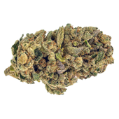 Freedom Reserve Sativa