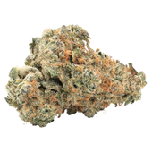 GMO Kush Flower GMO Kush Flower