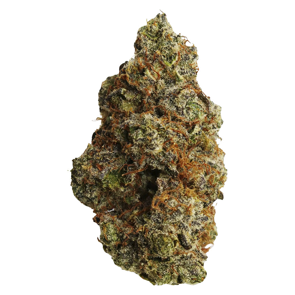 JOHNNY CAGE: Tropical Punch (Guava x Primal Punch)