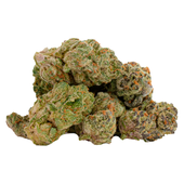 Glitterbomb X Rainbow Cheddar #5