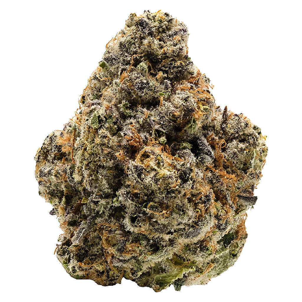Notorious THC (Ghost of Von Humboldt x Caramel Cream x Humboldt Frost)