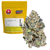 Indica